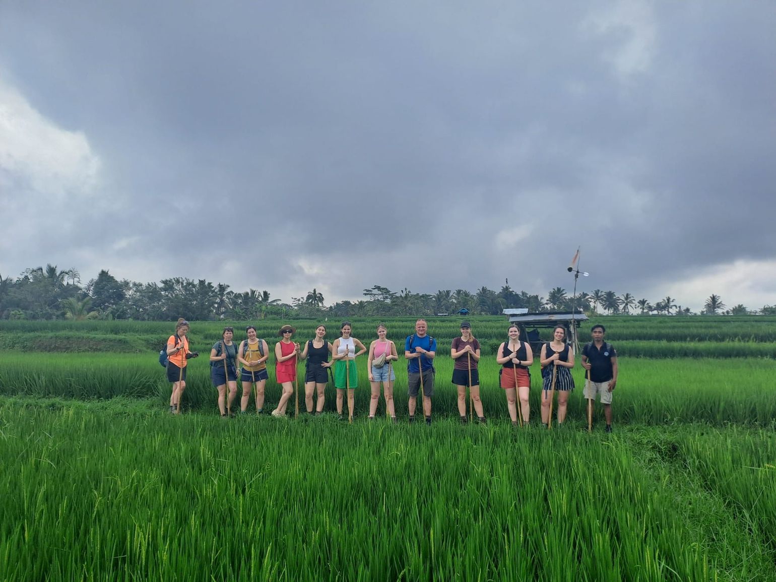 de rijstterrassen van Bali Indonesië - Joker
