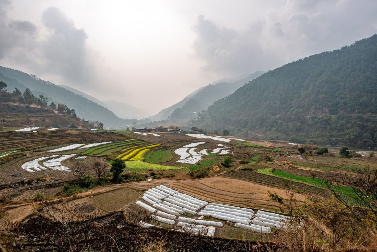 Bhutan