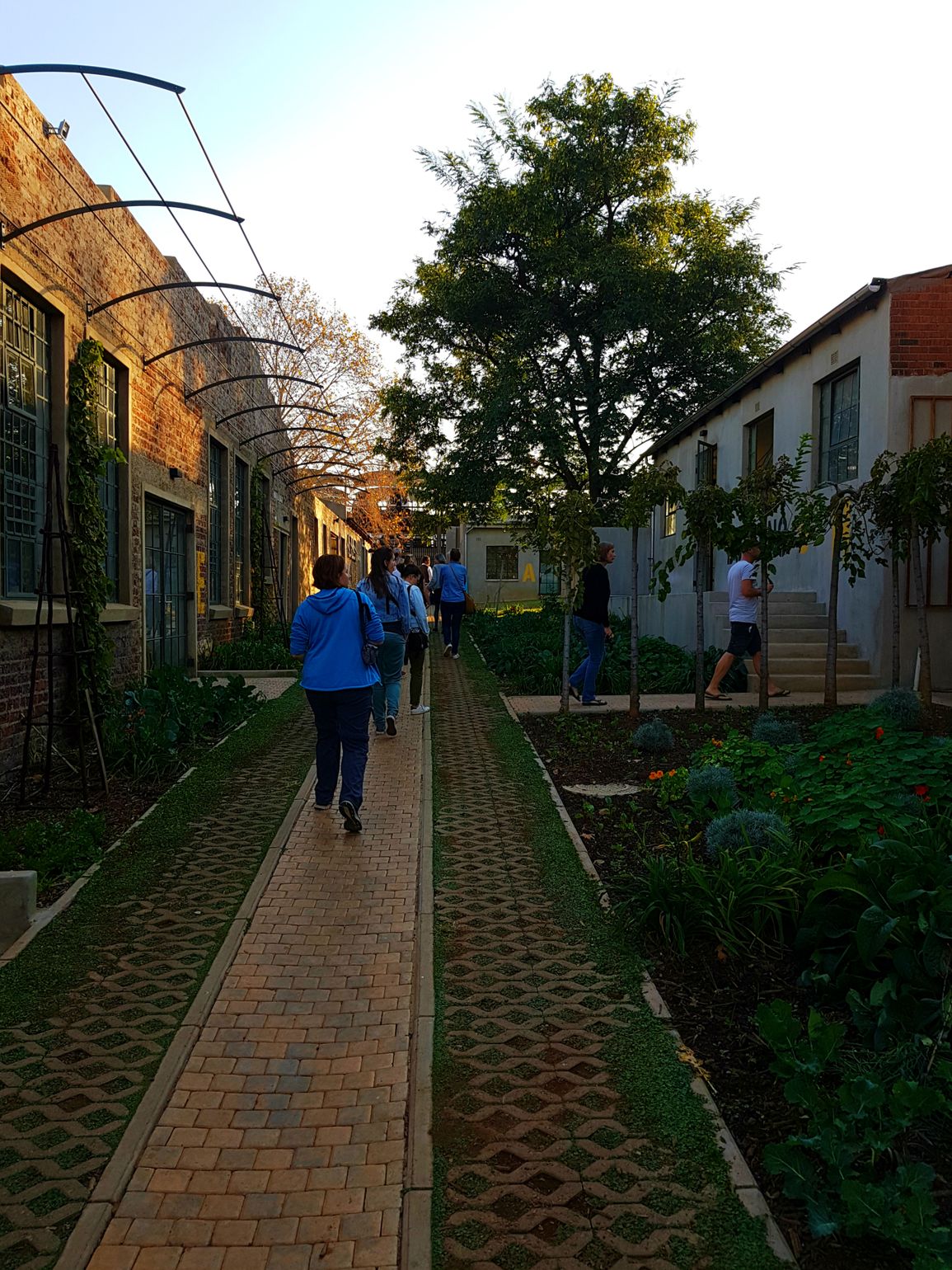 Victoria Yards Johannesburg Zuid-Afrika kunst cultuur