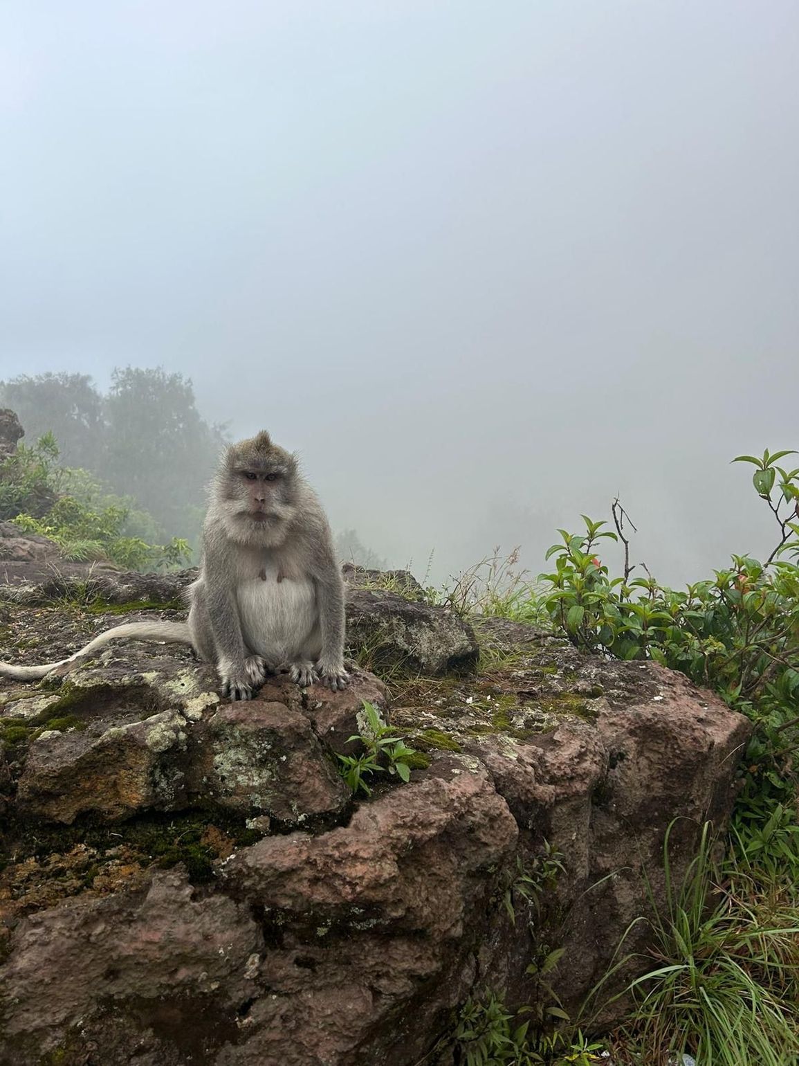 beklimming Mount Batur Bali Indonesië