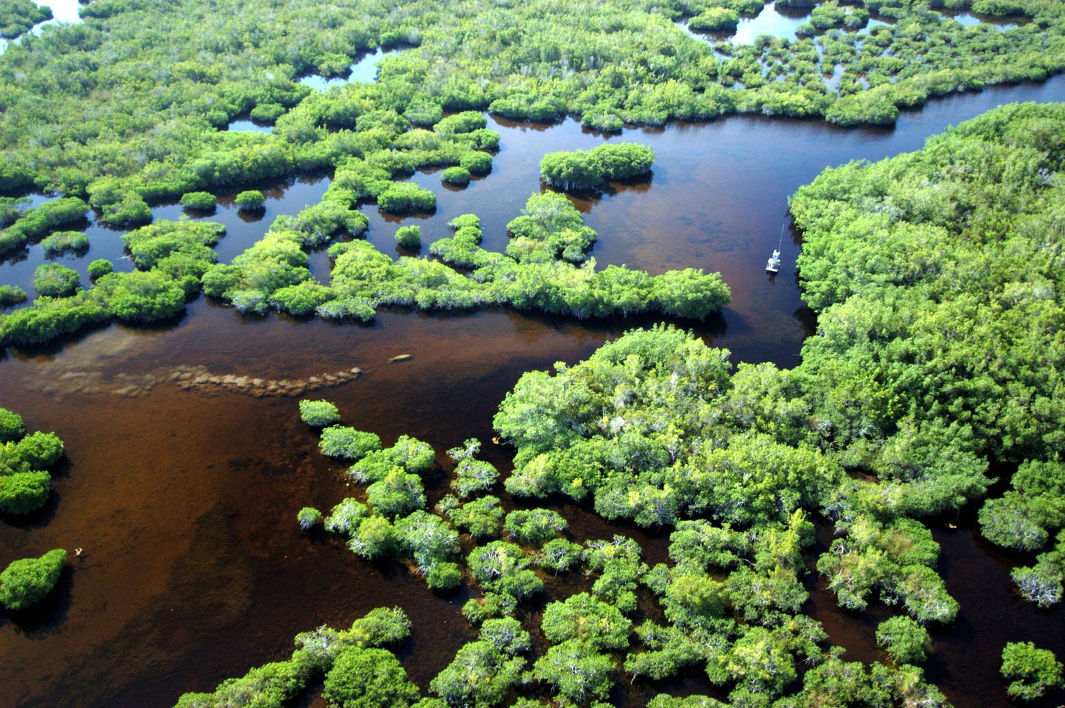 everglades