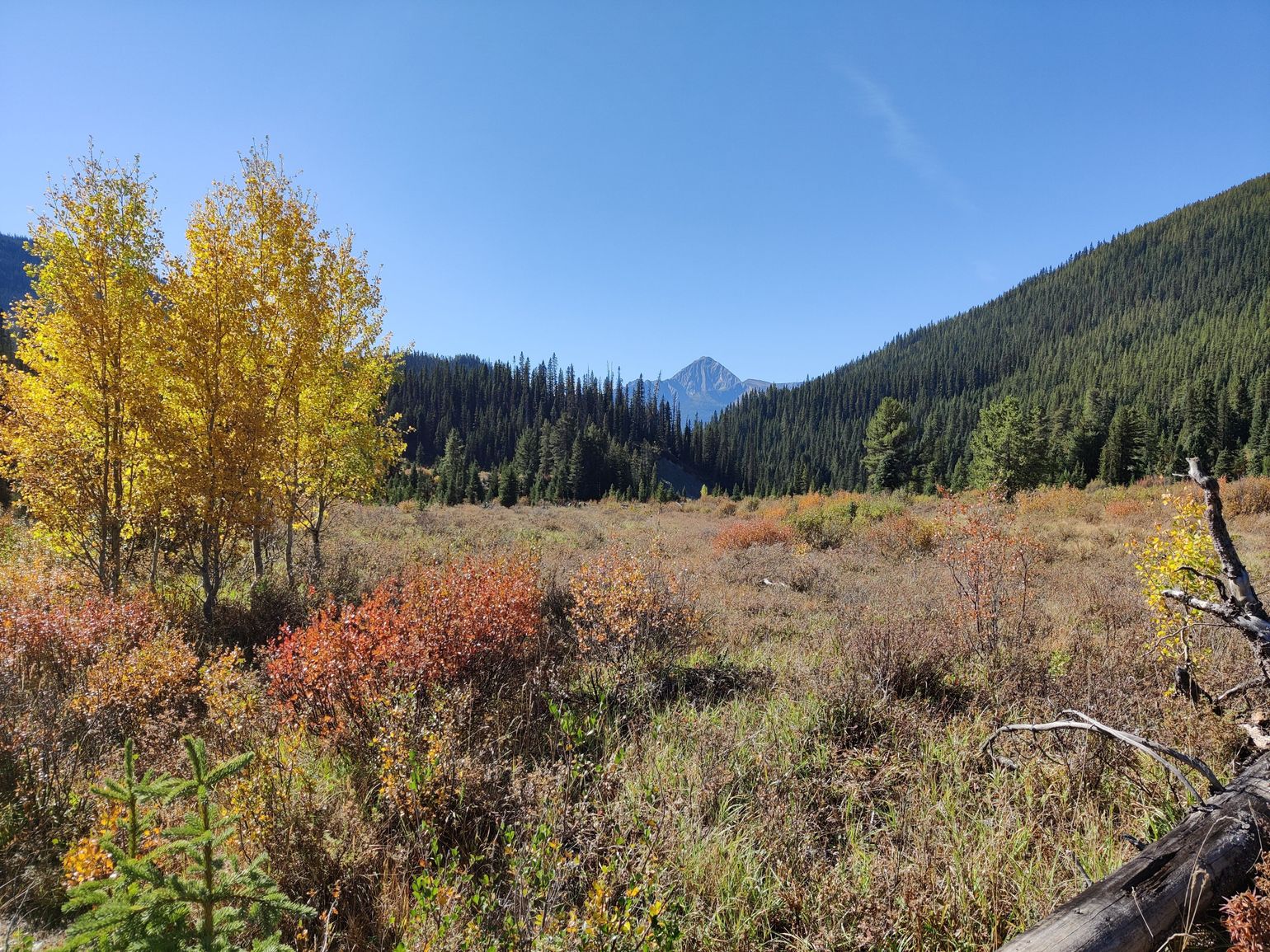 johnstone canyon banff national park