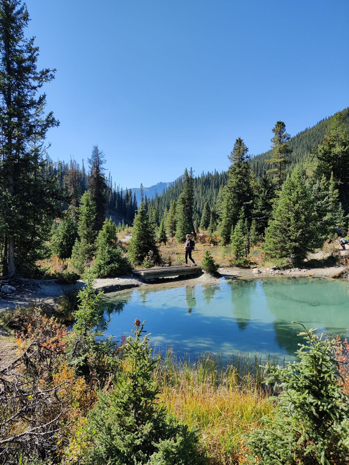 johnstone canyon hike