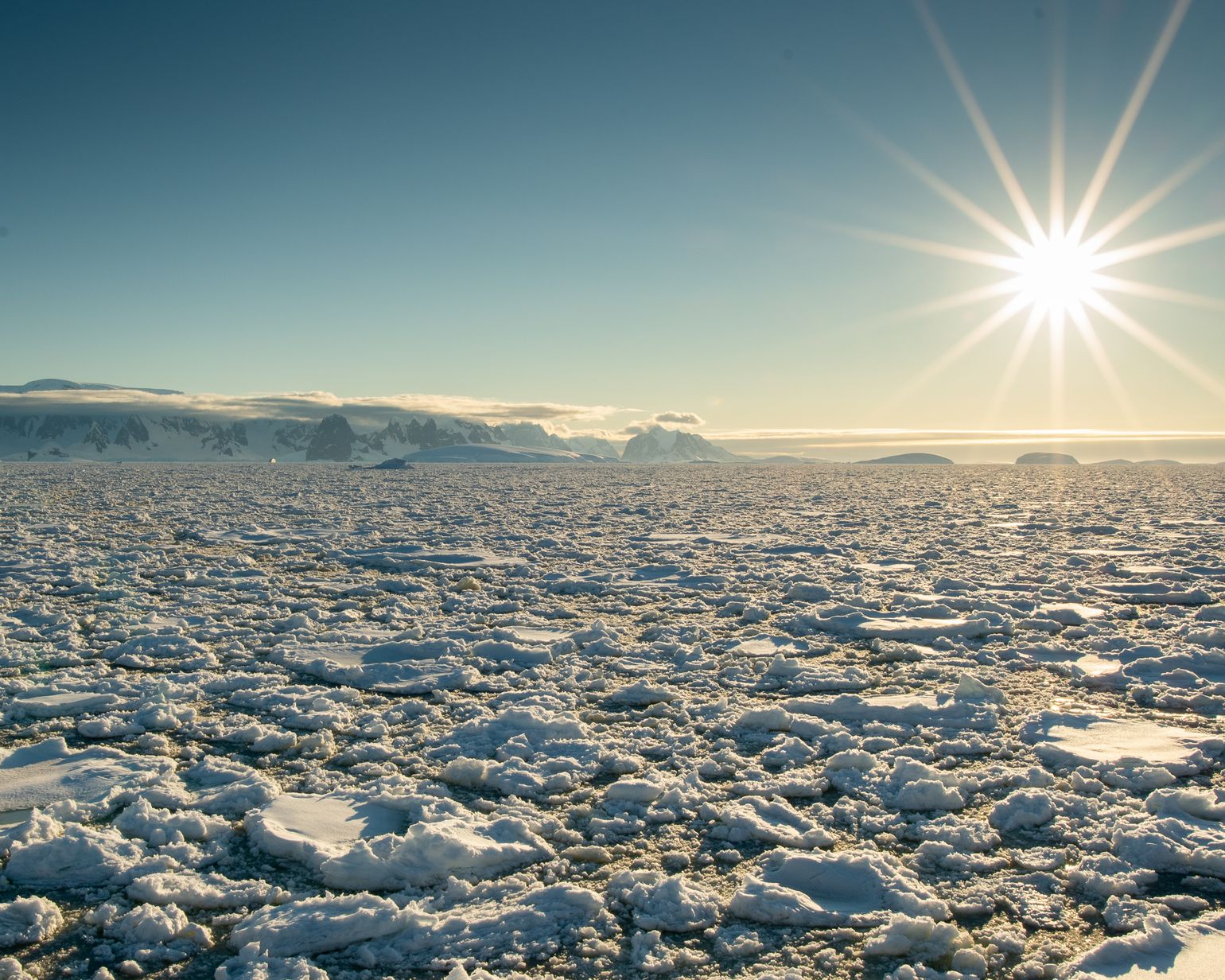 Groepsreis Antarctica
