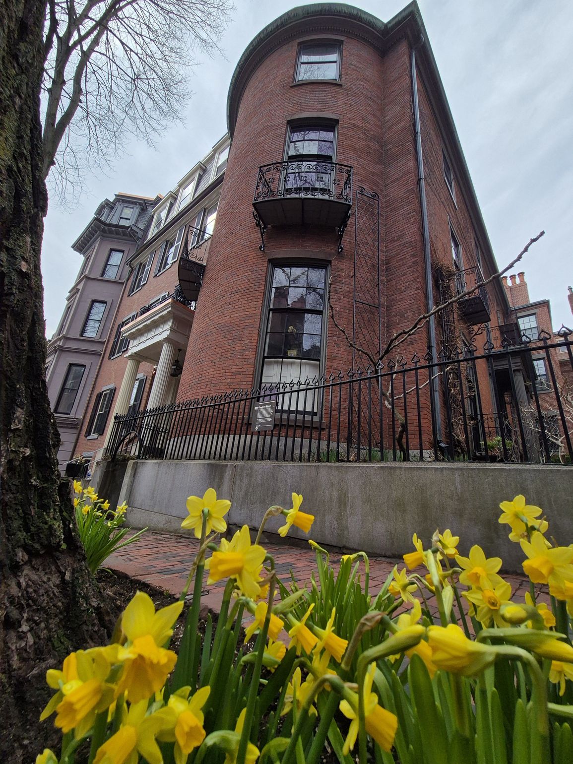 Bloemen in Boston