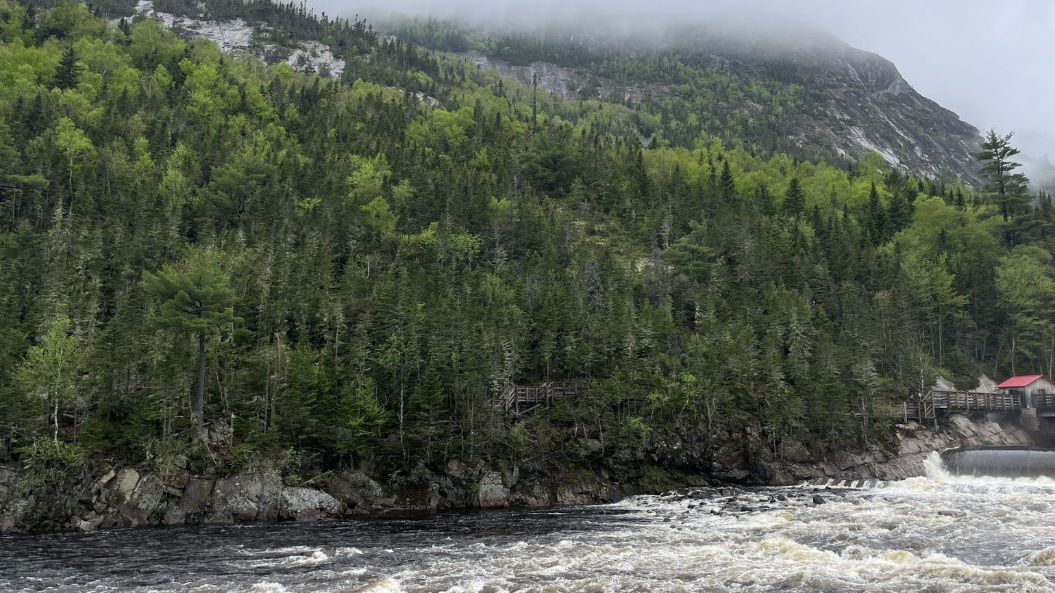 Parc National de la Gaspésie