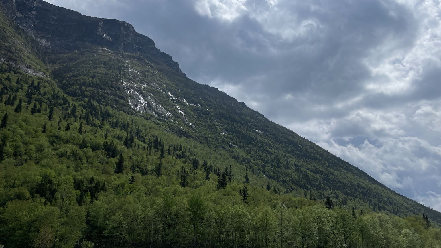 Parc National de la Gaspésie