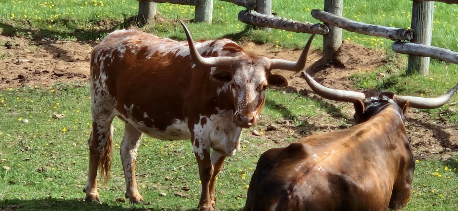 Zoo Sauvage St-Félicien