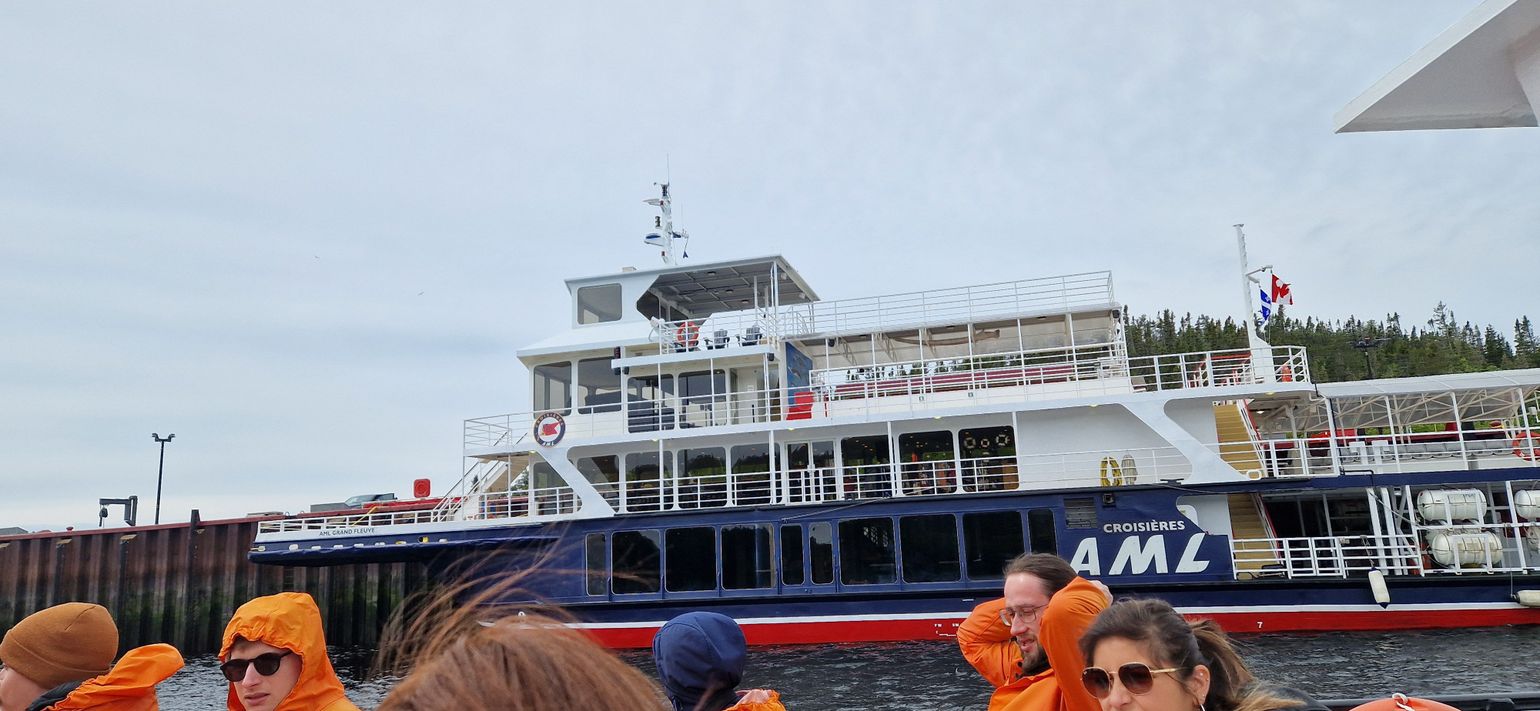 Zodiac whale watching Tadoussac Quebec Canada