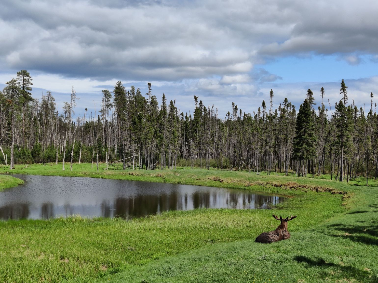 Wildlife Zoo St-Félicien