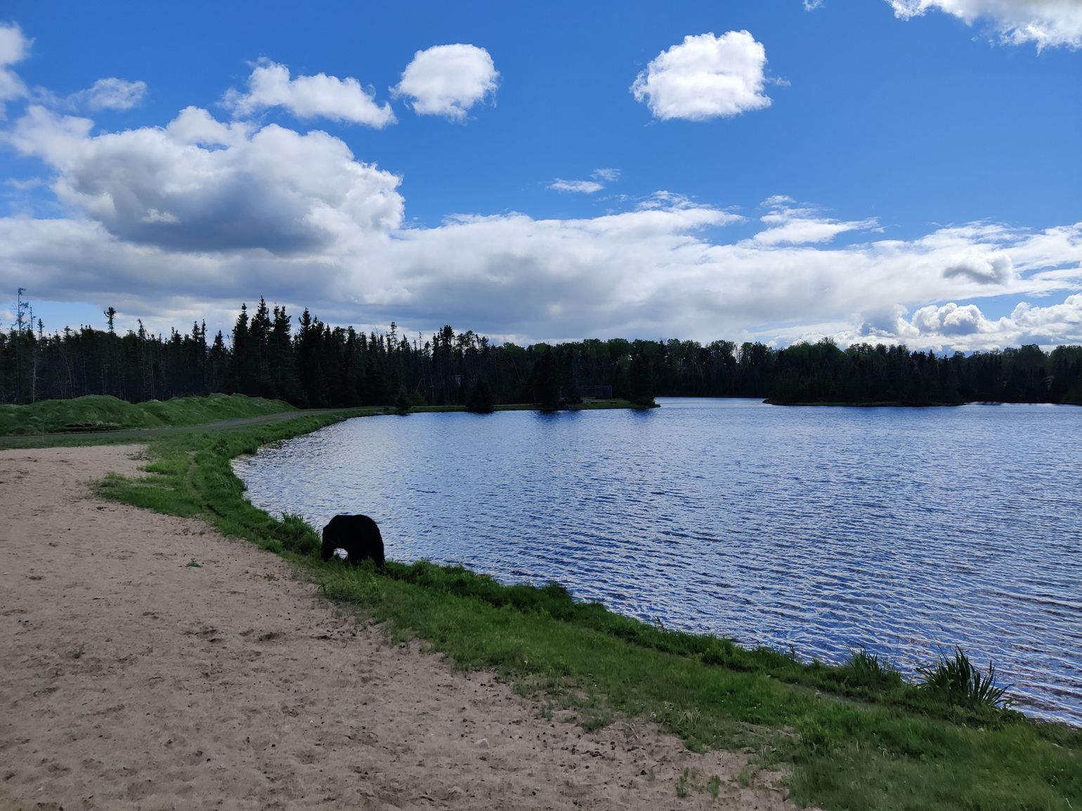 Wildlife Zoo St-Félicien