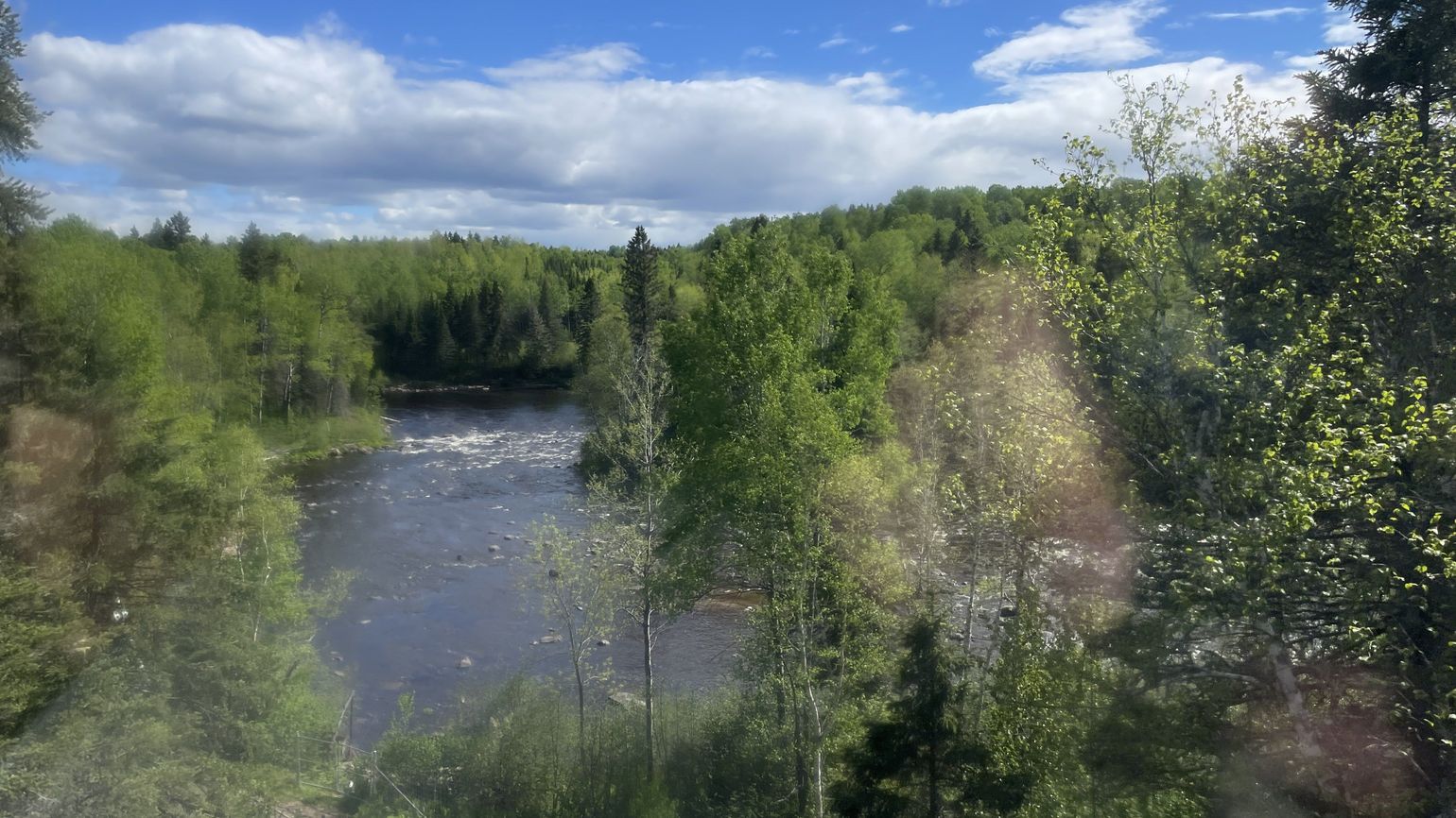 Zoo Sauvage St-Félicien