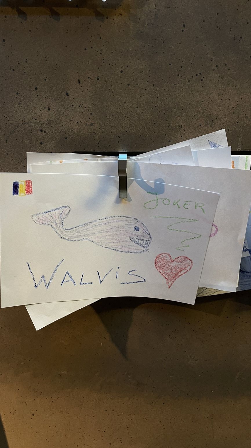 Joker CIMM Tadoussac Québec Canada