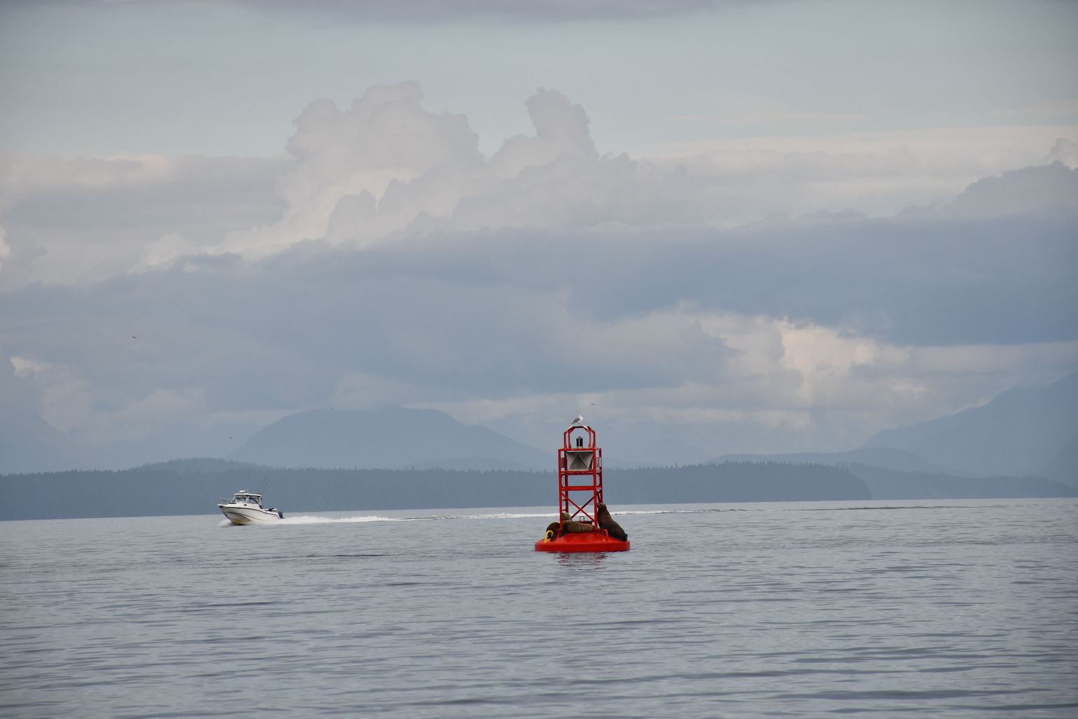 Campbell River 