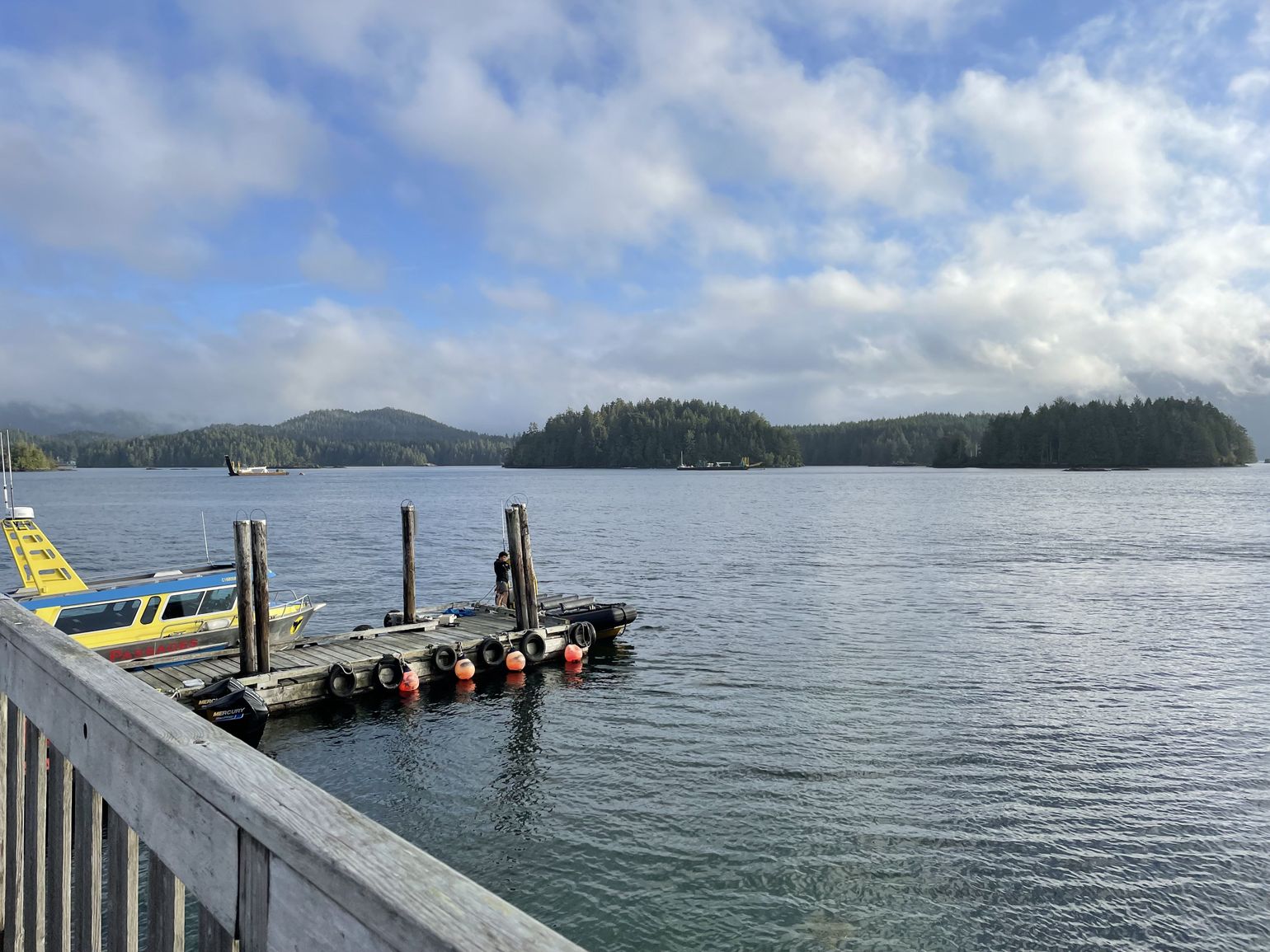 Tofino