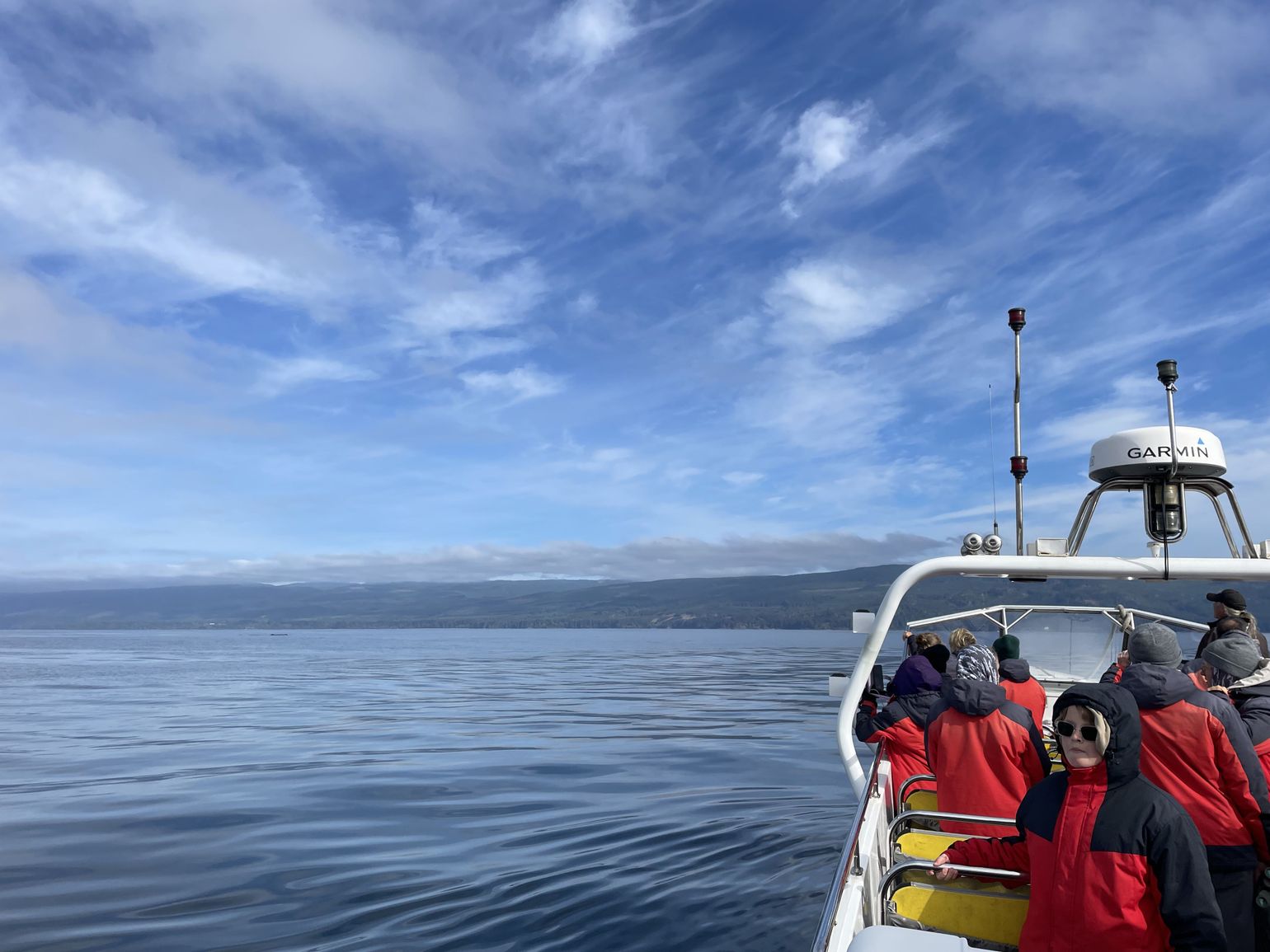 whale watching tour
