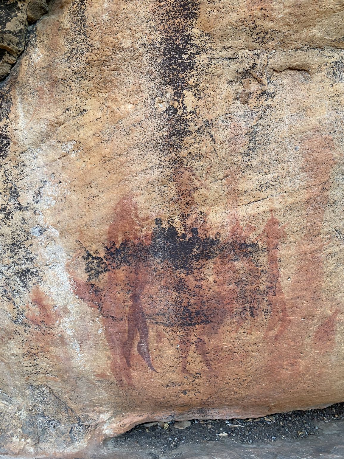 Cederberg Rock art trail