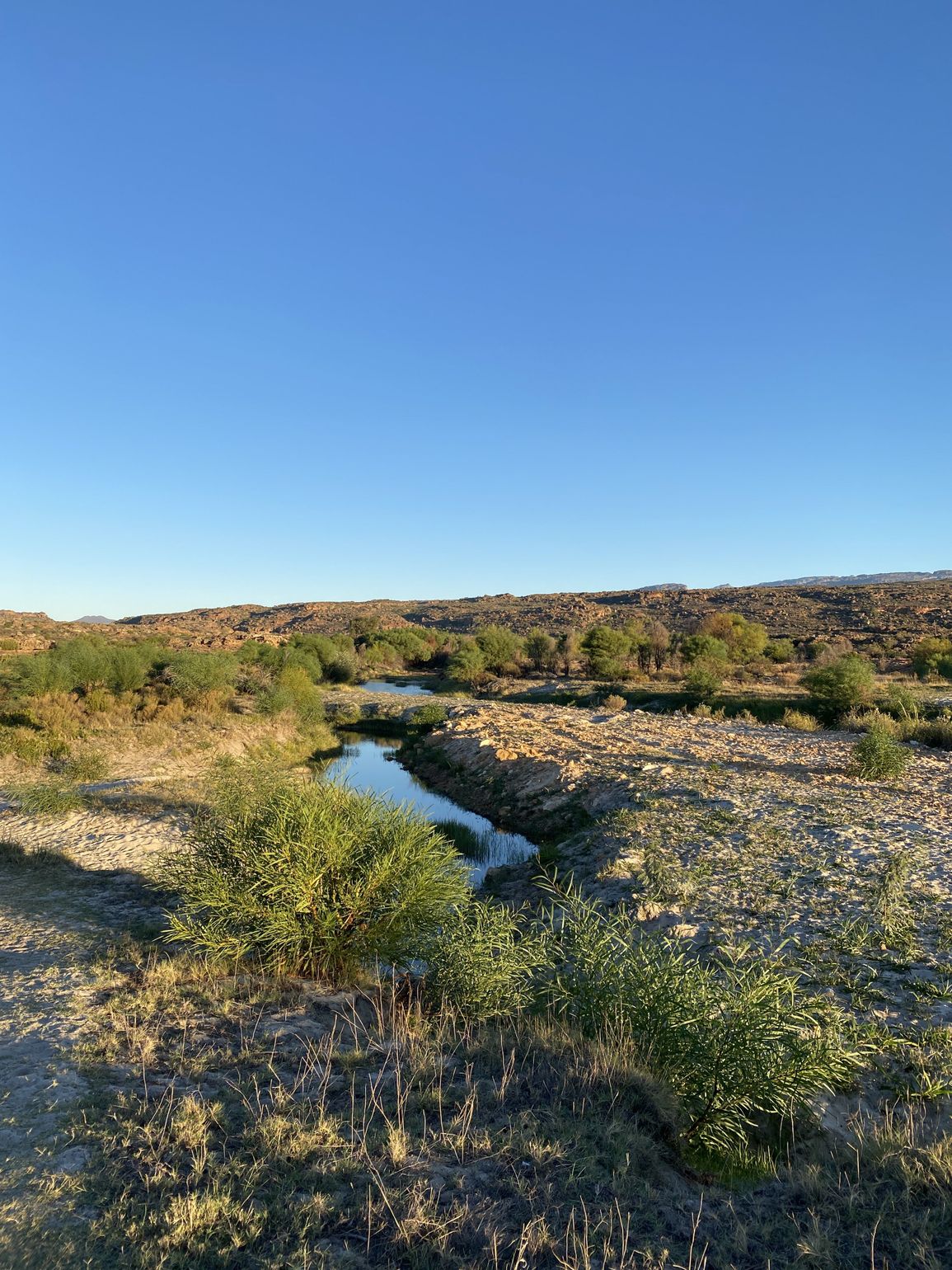 Cederberg Rock art trail