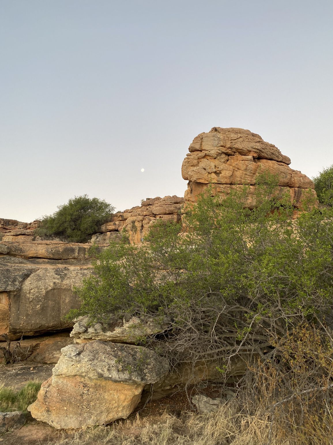 Cederberg Rock art trail
