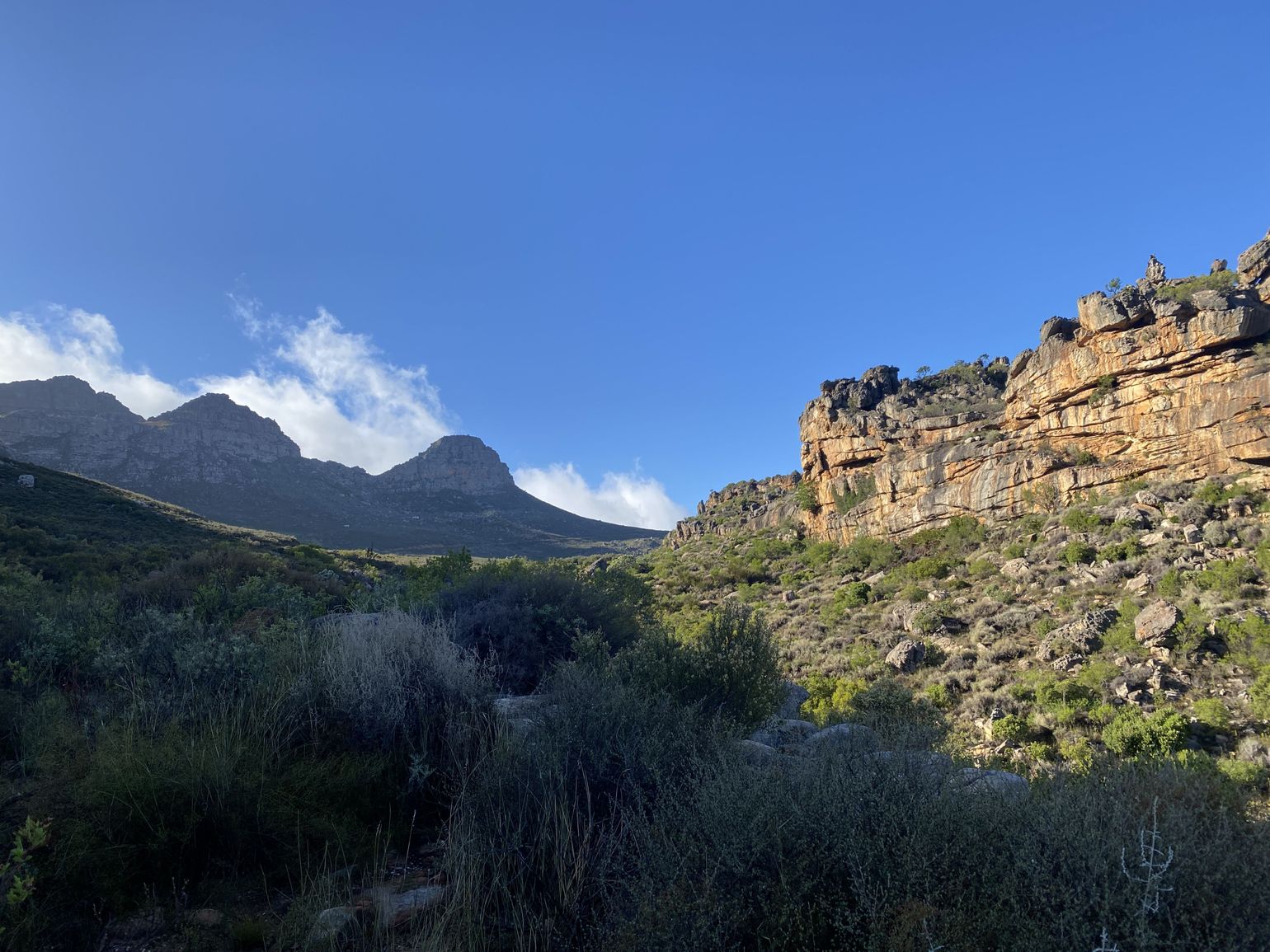 Cederberg wilderness reservaat