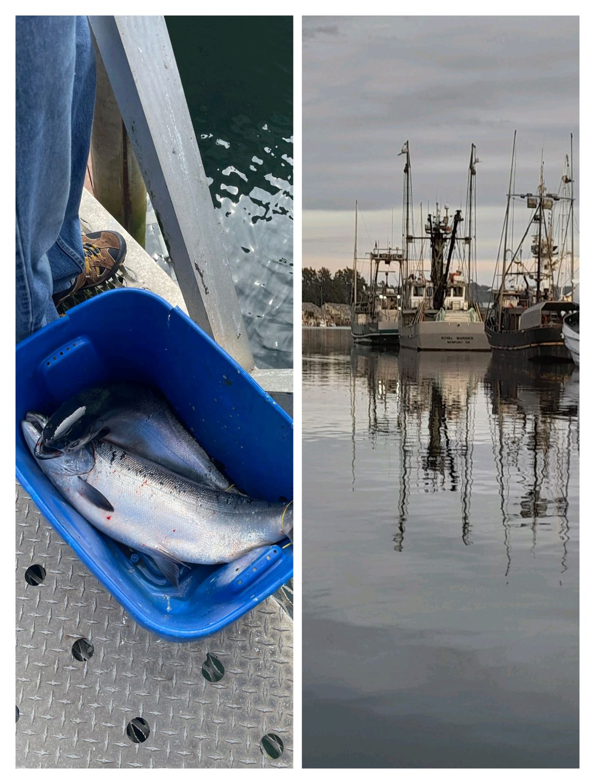 Oregon for foodies &amp; wine lovers