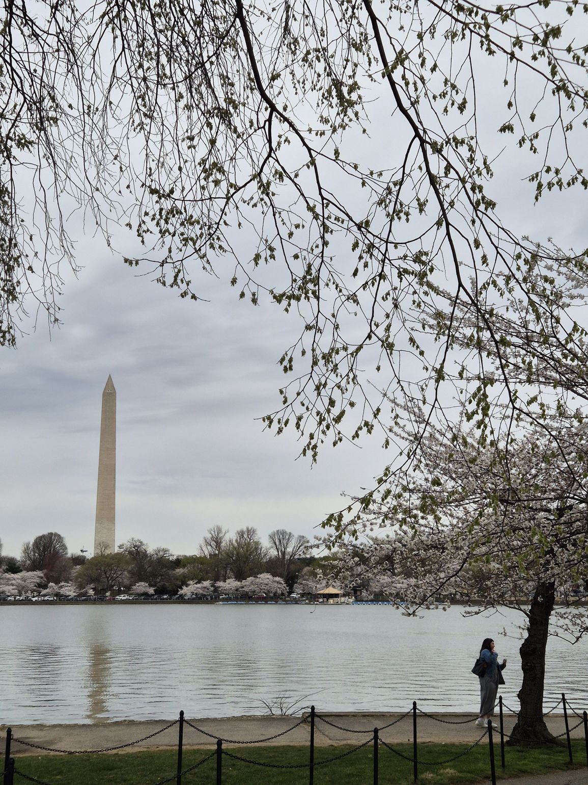 park met zicht op washington monument