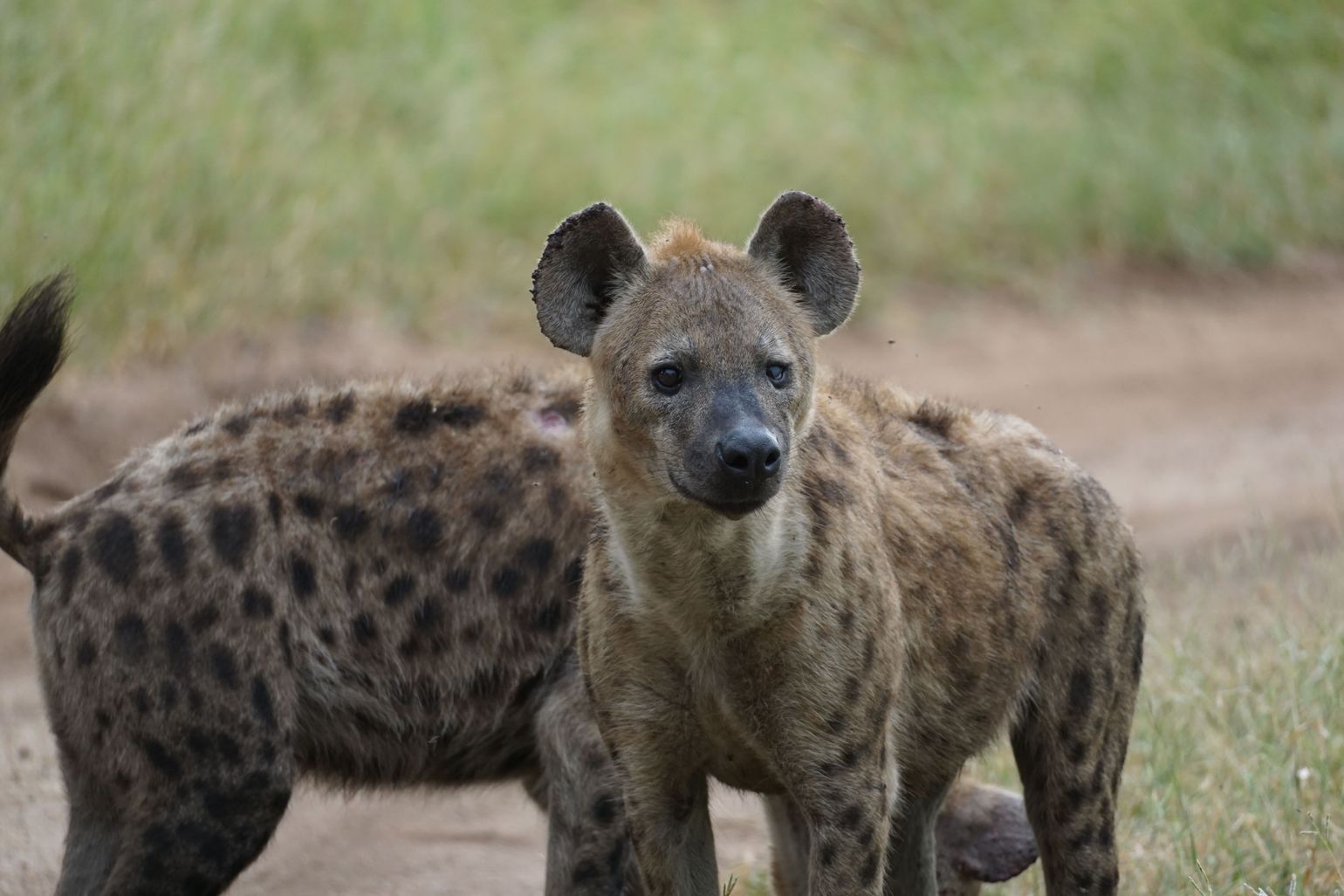 panoramaroute Zuid-Afrika