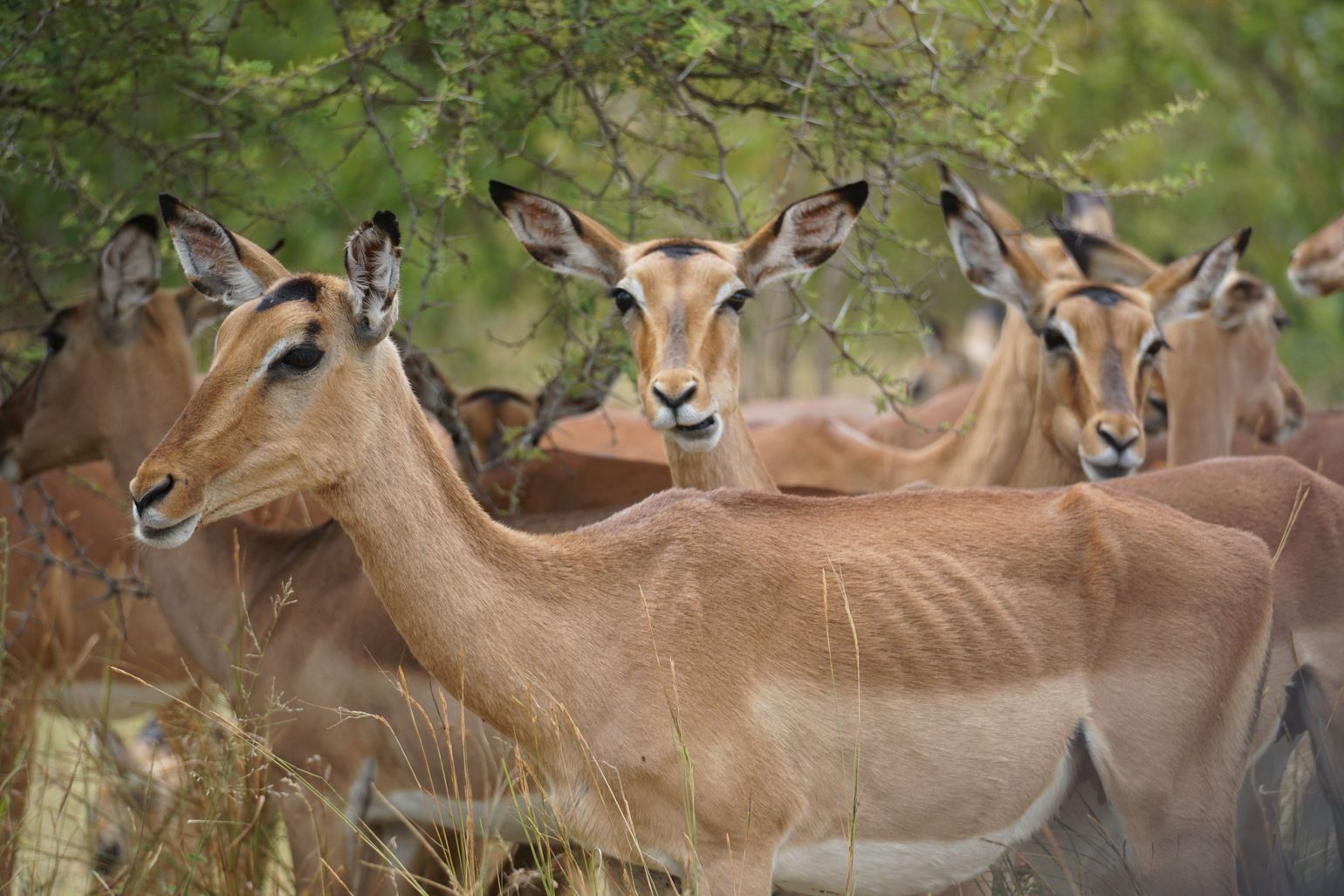 panoramaroute Zuid-Afrika