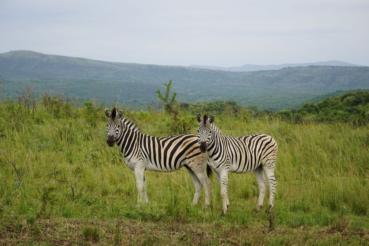 huwelijksreis Zuid-Afrika