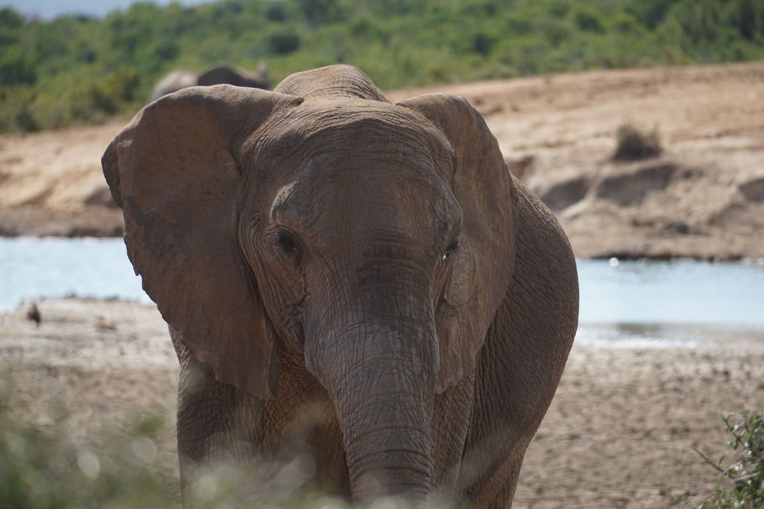 huwelijksreis Zuid-Afrika