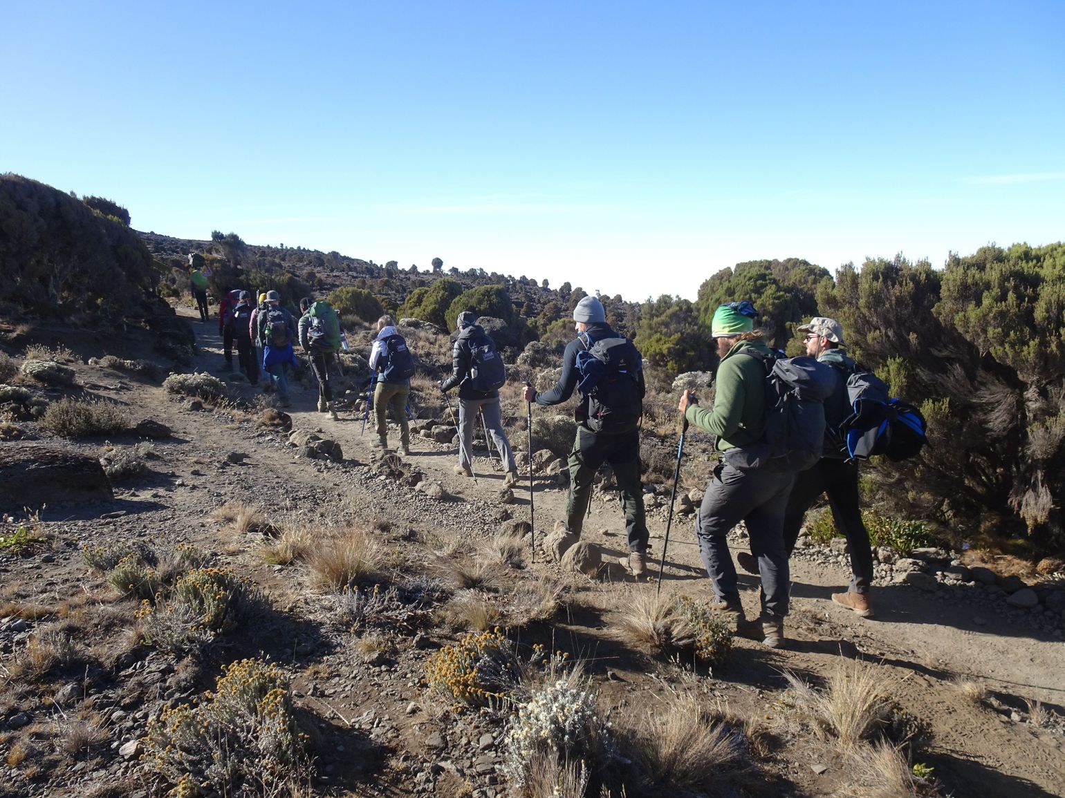Kilimanjaro trekking