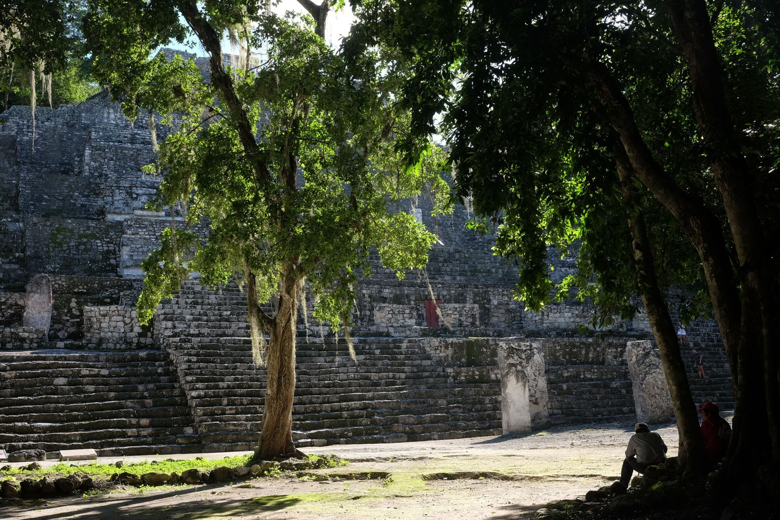 calakmul tempel jungle
