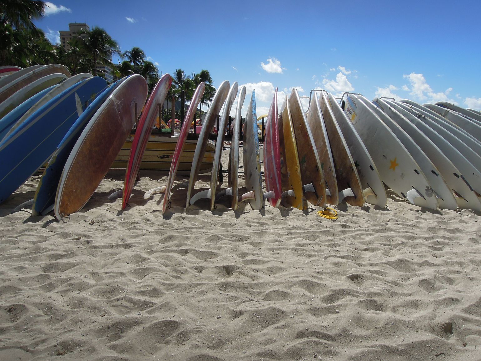 surfersparadijs hawaii