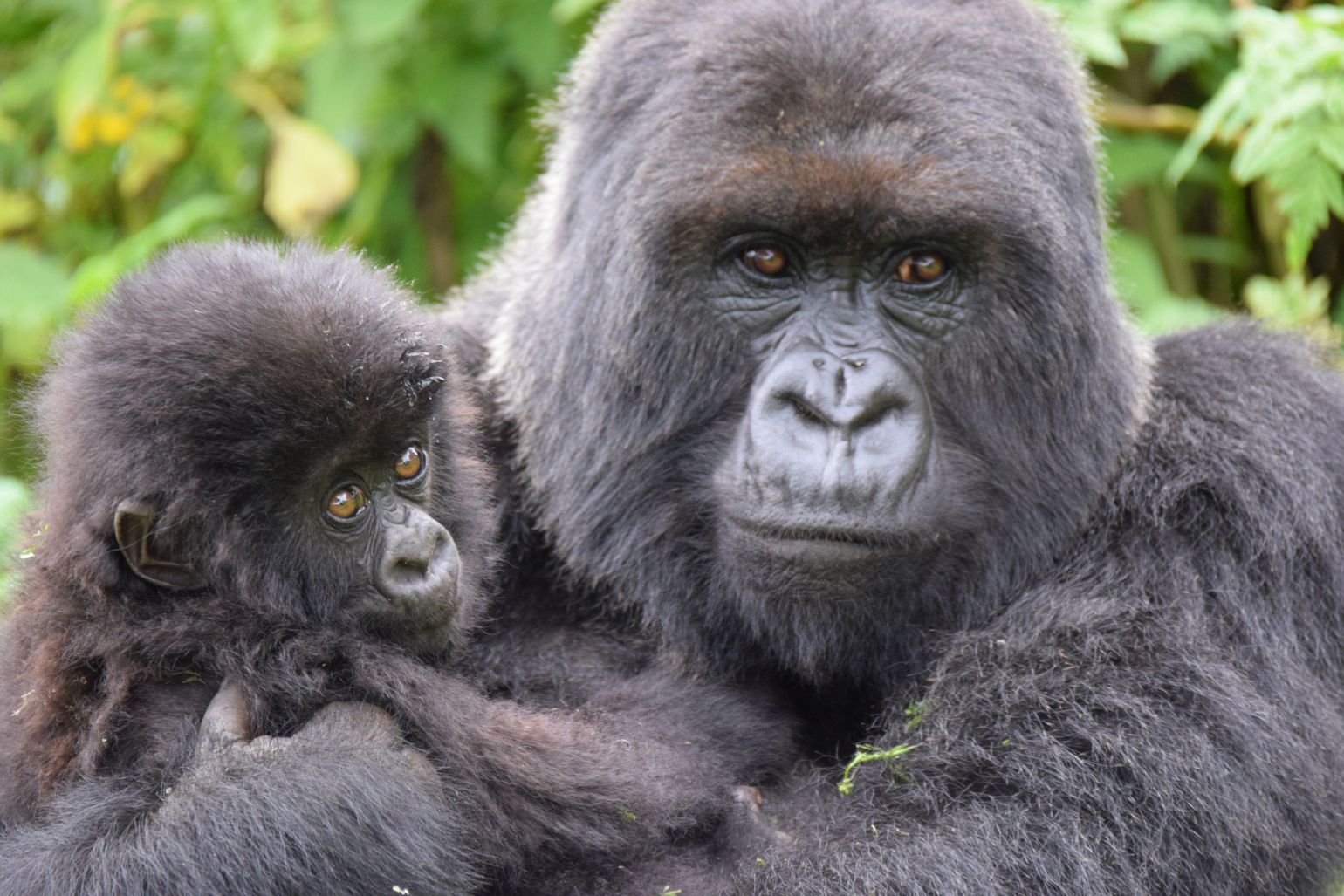 Mama met kindje