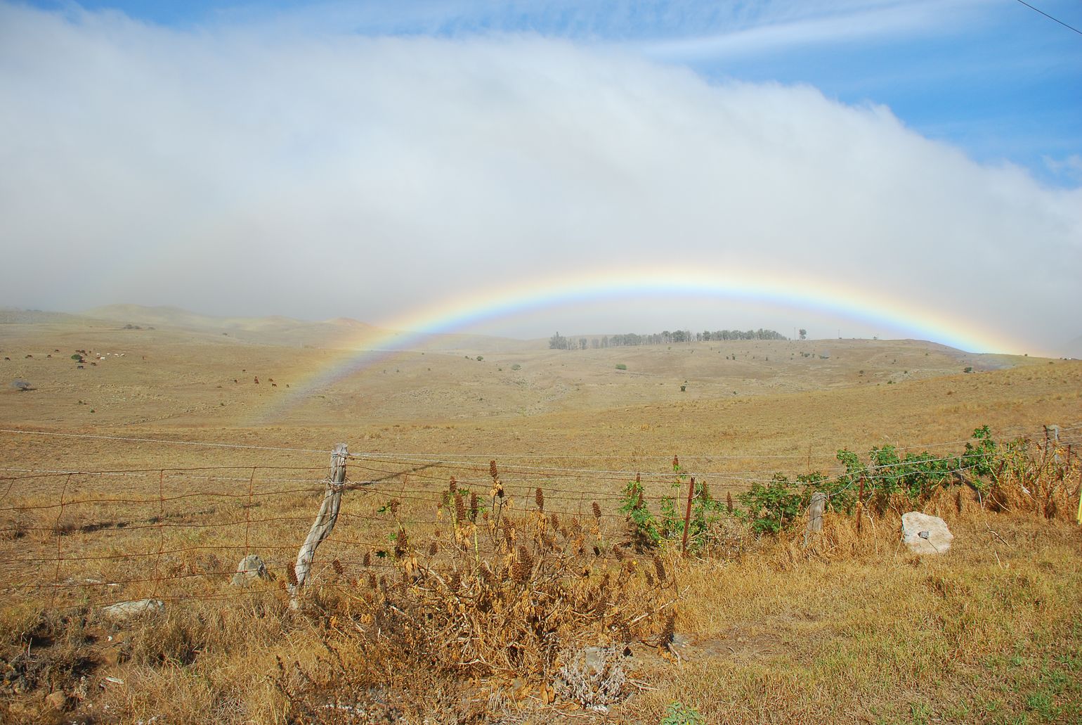 Weides op Big Island Hawaii