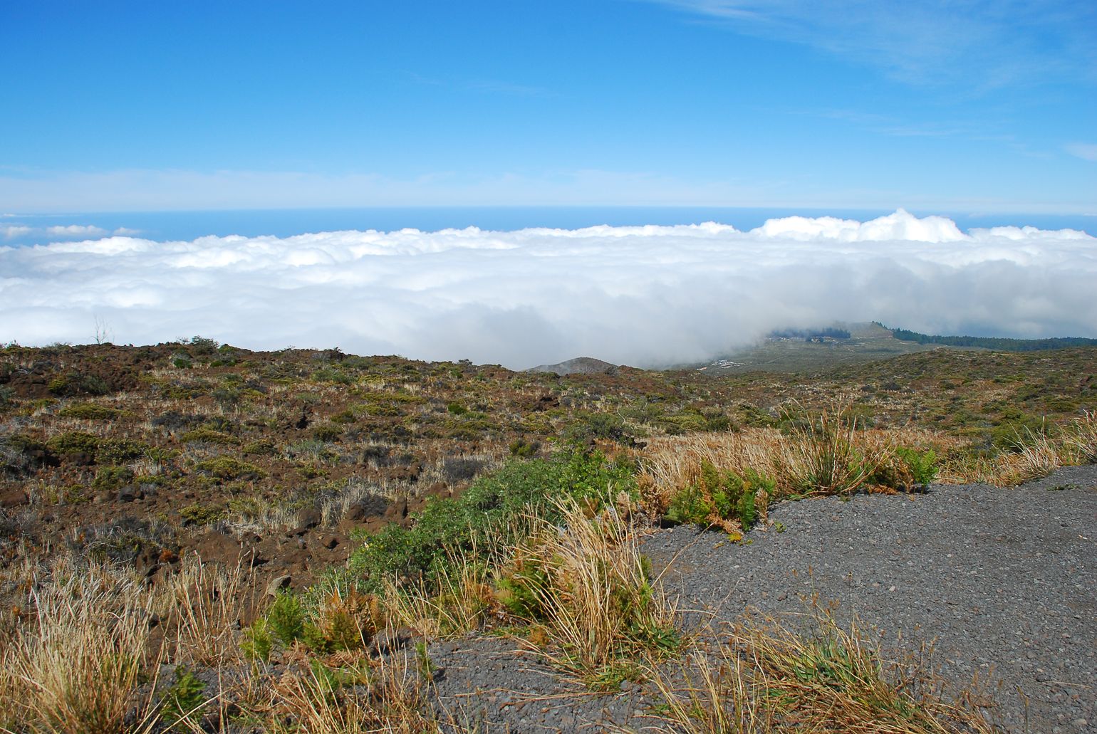 Uitzicht op Maui