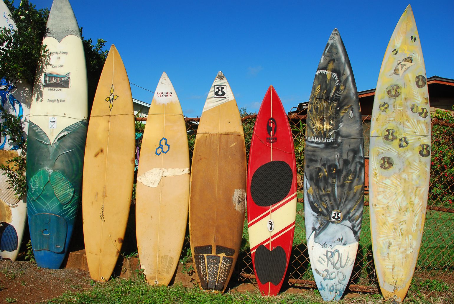 surfplanken