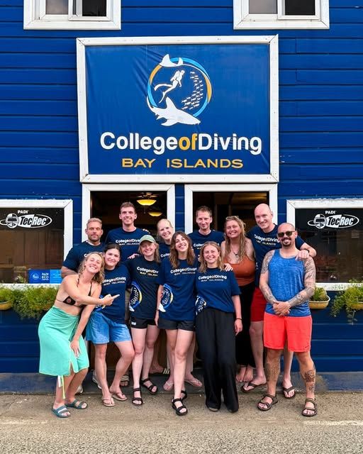 Groepsreizen Surf and dive