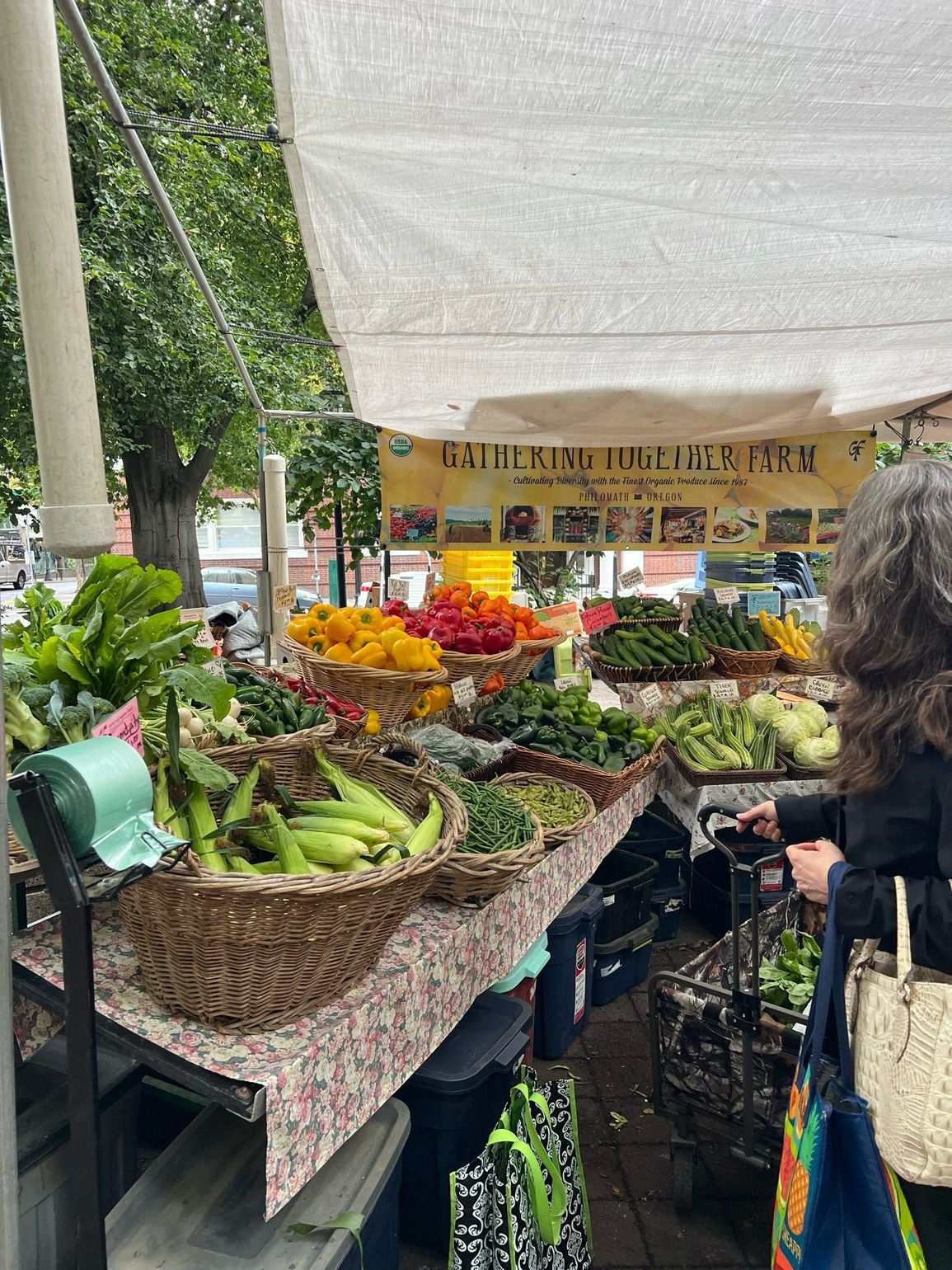 Oregon Portland Foodie Tour