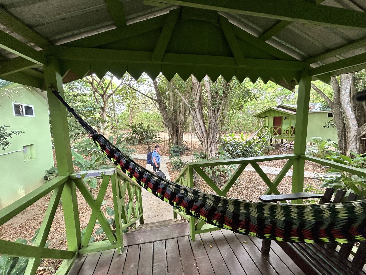 hangmat in de jungle