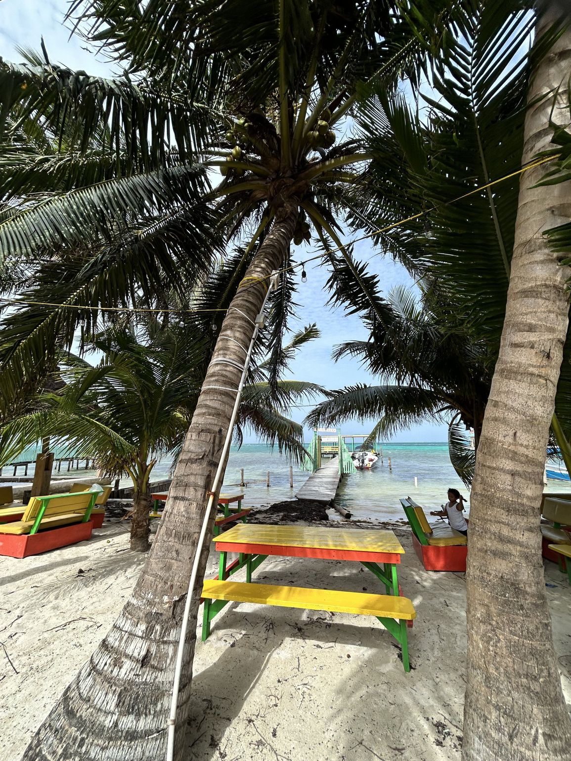 strand met palmbomen