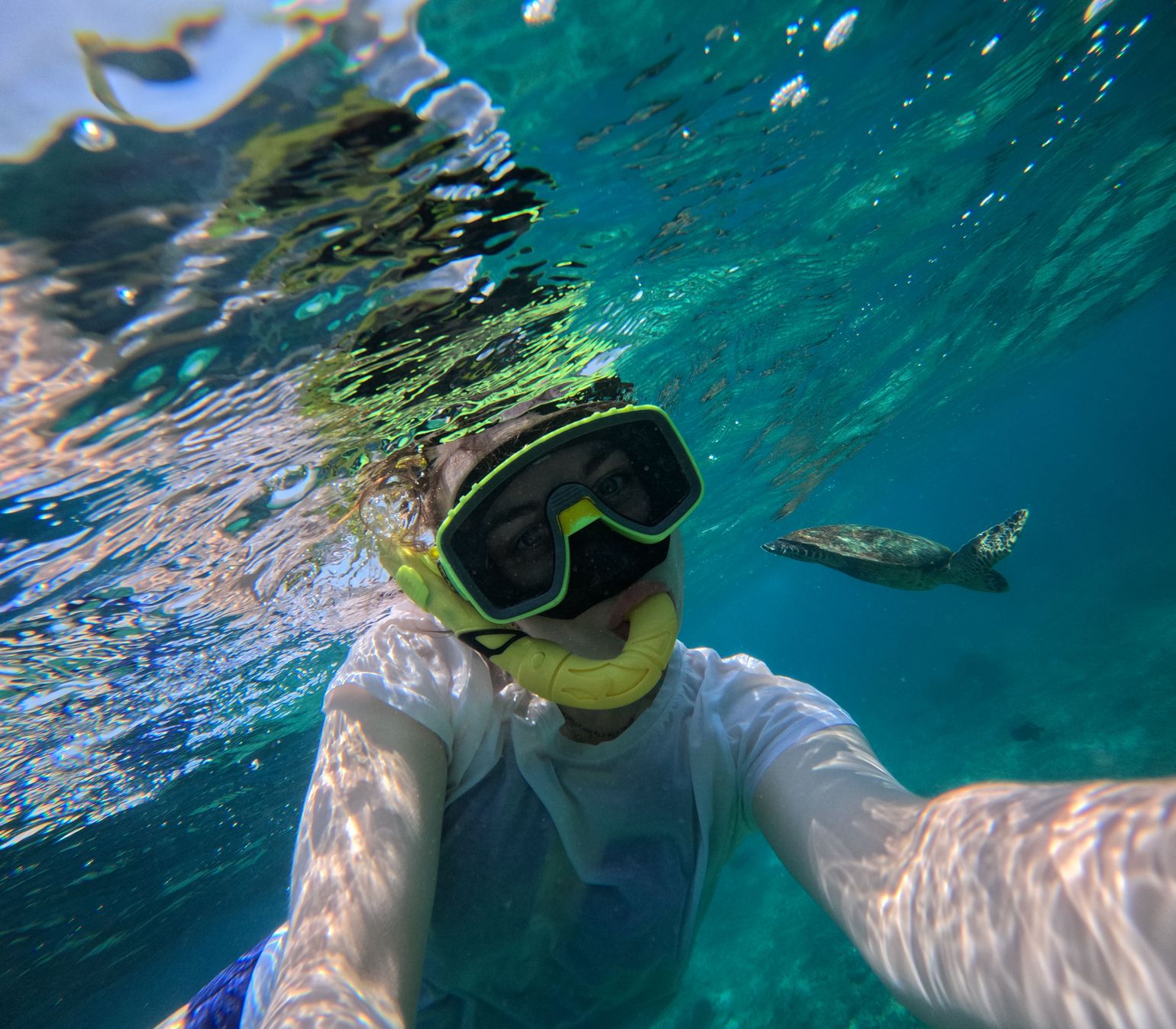 Snorkelen Pigeon Island