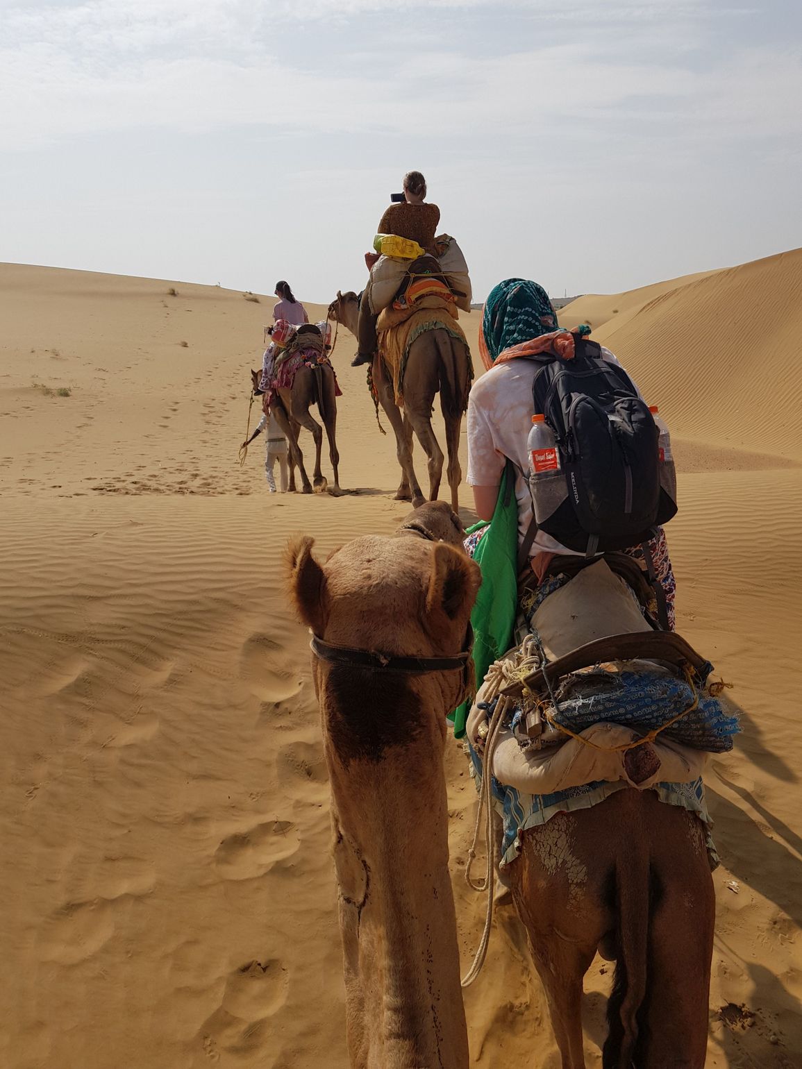 2-daagse woestijnsafari op een dromedaris in India