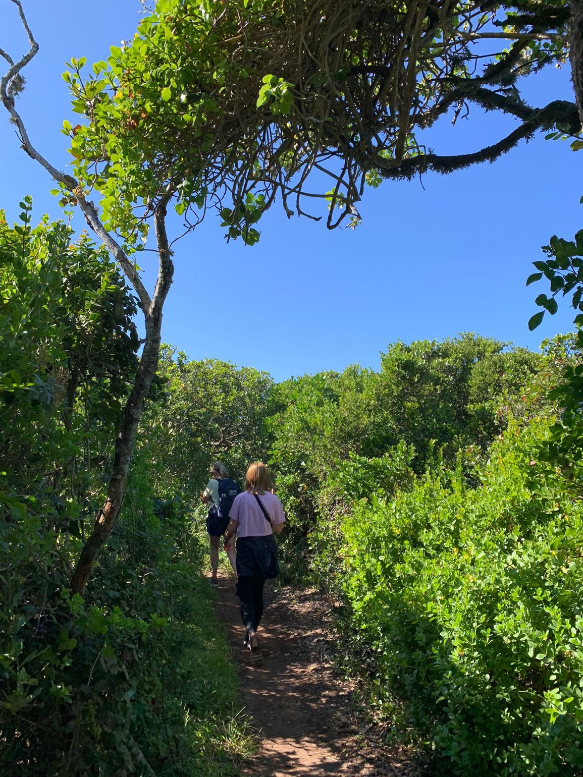 wandelen door het groen