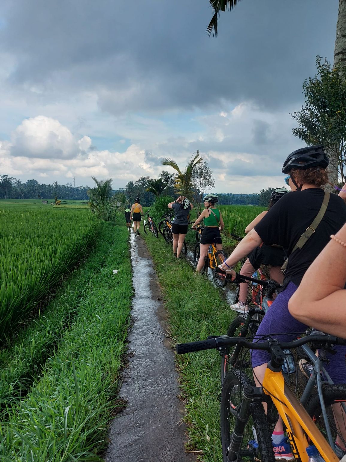 Downhill mountainbiken in Bali