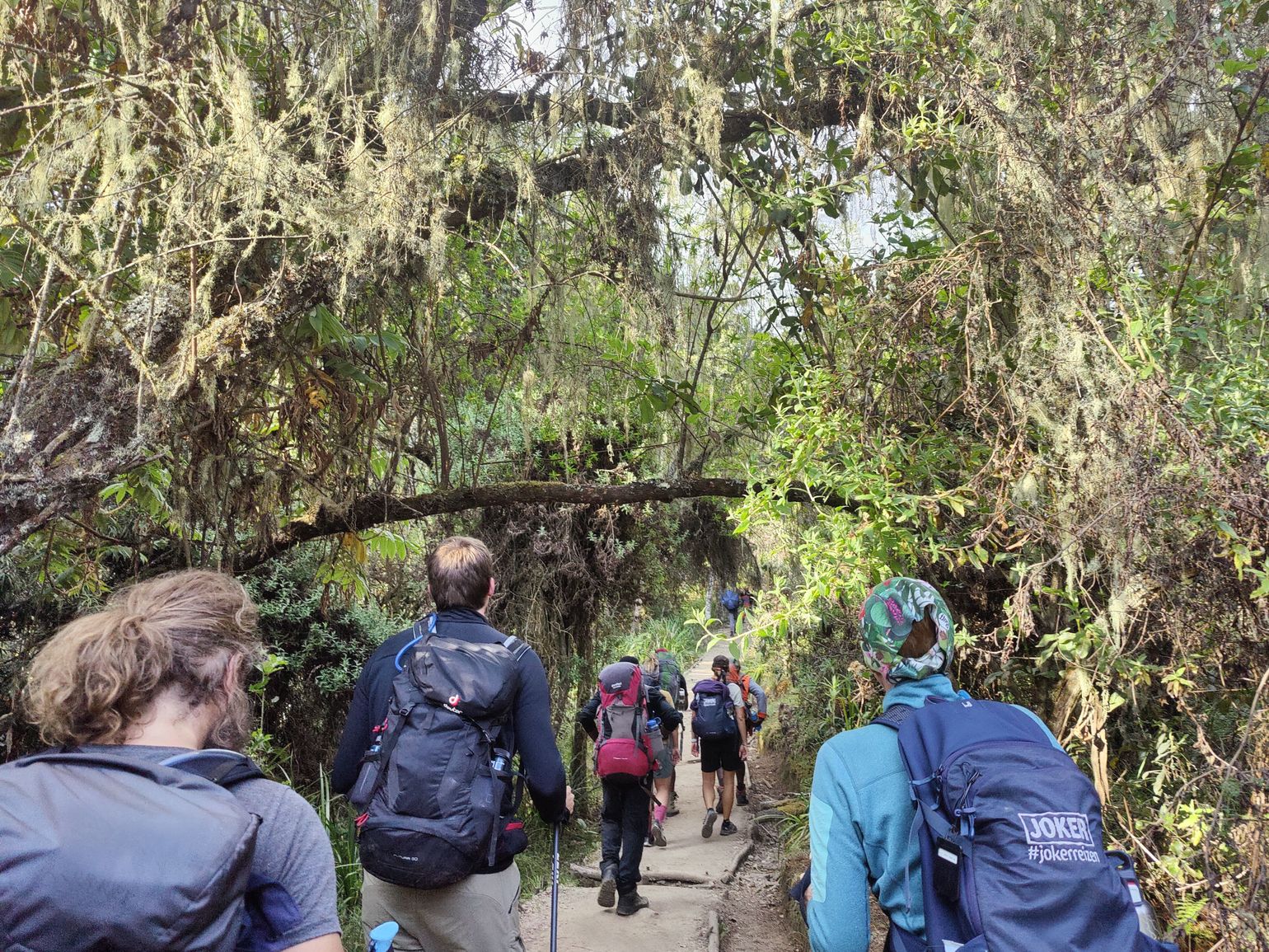 Kilimanjaro berg beklimmen