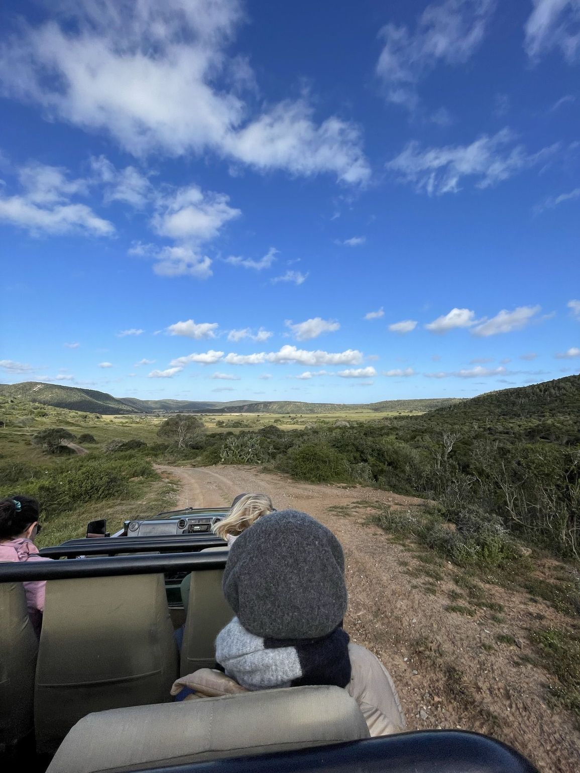 Safari in een open voertuig