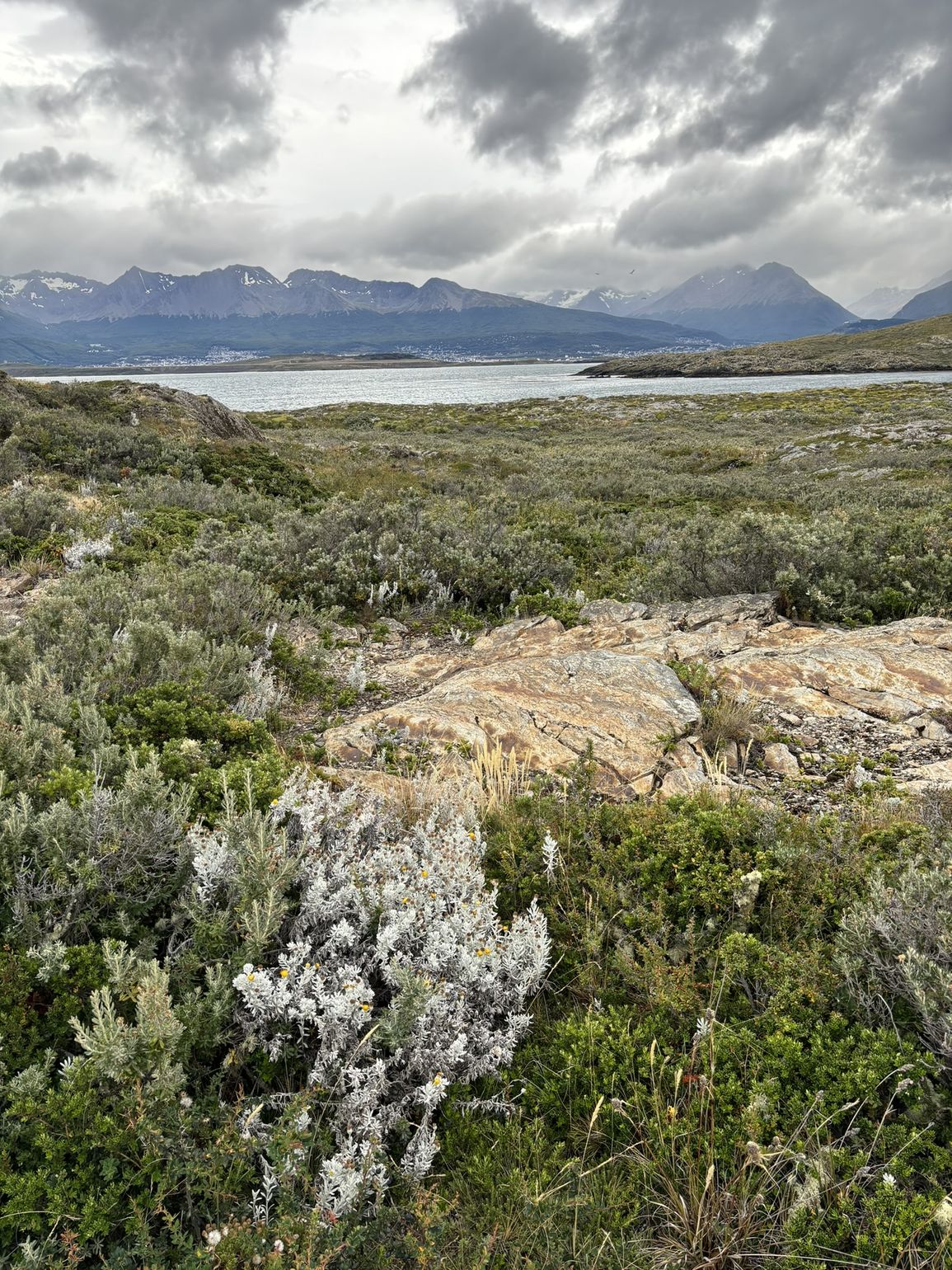 nationaal park ushuaia