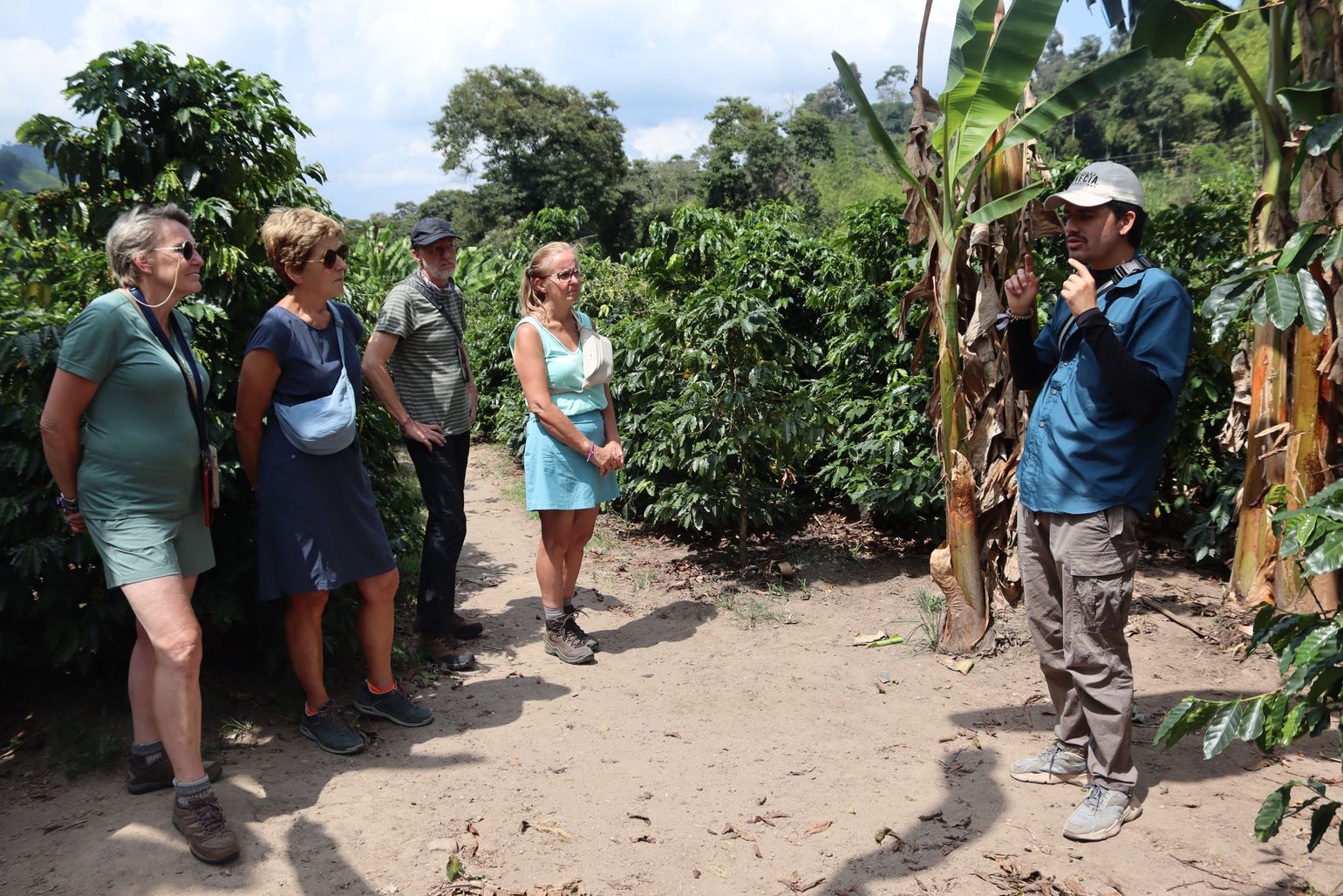 Joker Comfort Editions