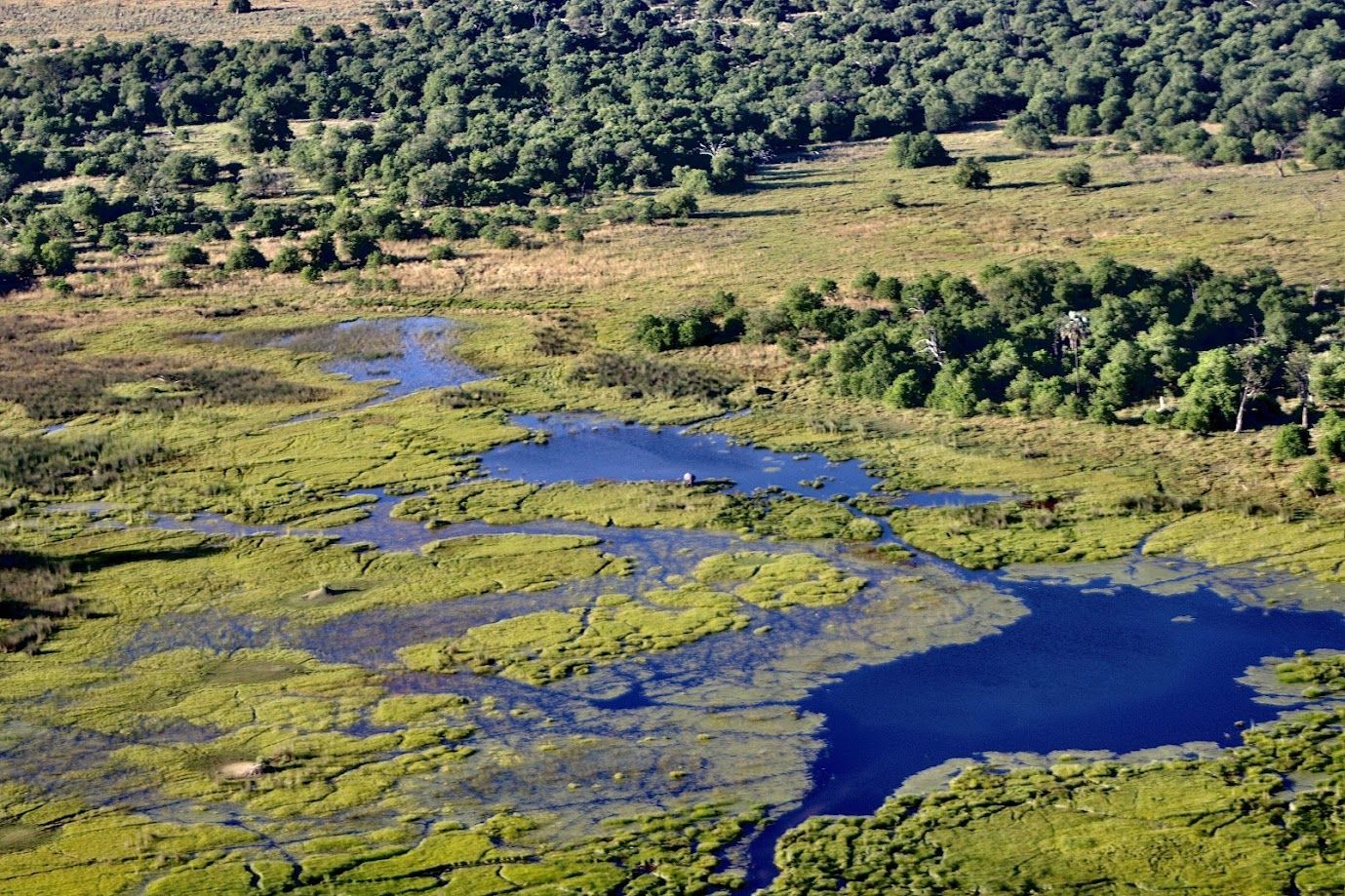 okavango delta botswana uit de lucht